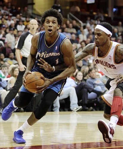 致敬，都柏林动物园将一只极度濒危的鹦鹉取名特洛伊-帕罗特（都柏林动物园致敬命名一只极危鹦鹉为特洛伊-帕罗特）